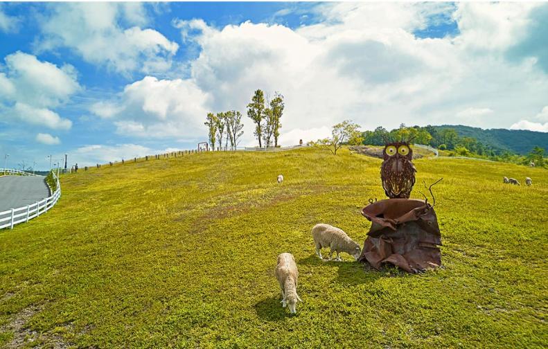 Belle Fore Resort Jeungpyeong Bagian luar foto